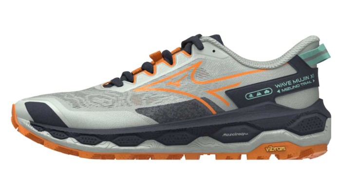 Mizuno Mujin 11