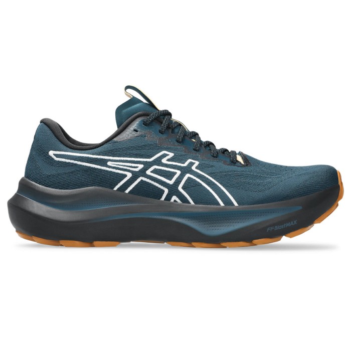 Asics Gt-2000 TR