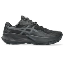 Běhání &ndash; Asics Trabuco 14 GTX