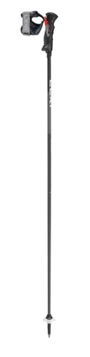 Leki Carbon 14 TR